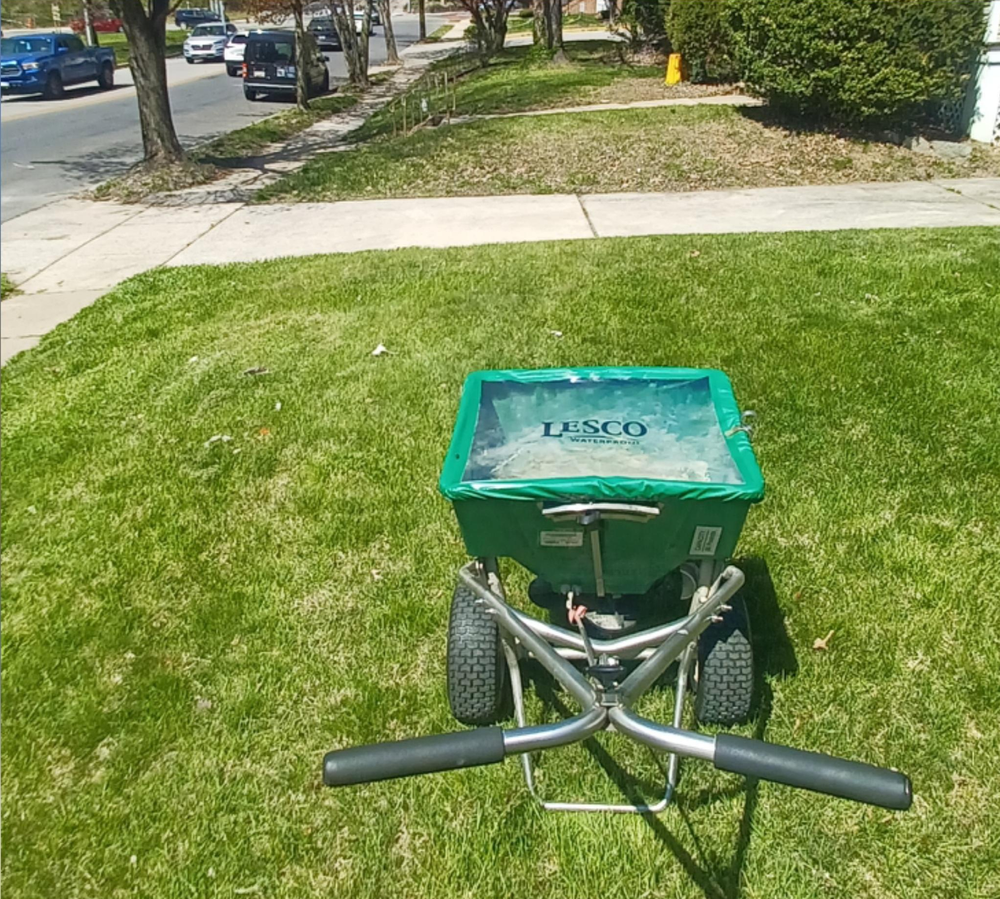 Beautiful green lawn care