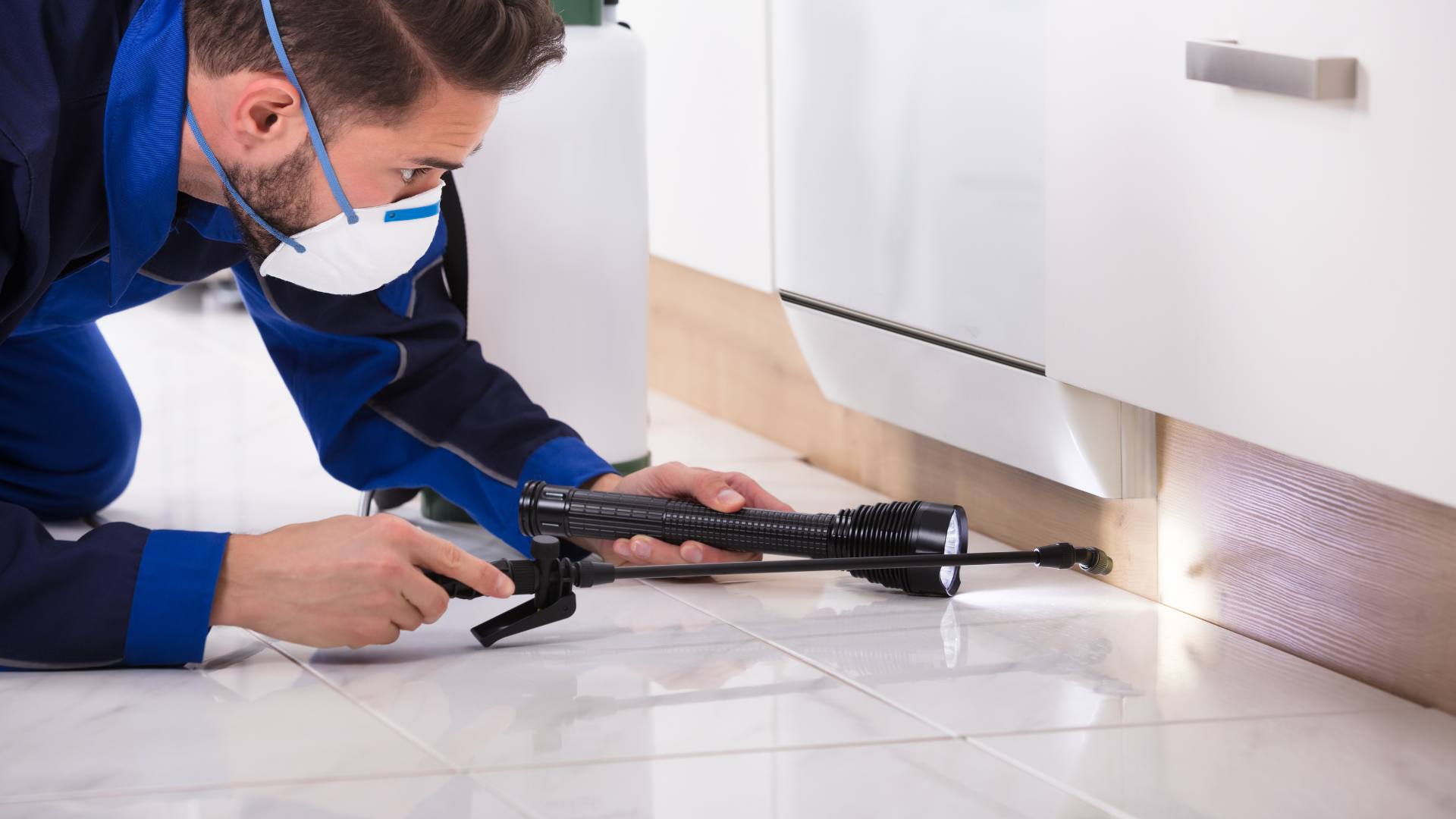 Professional pest control treatment protecting a Baltimore home