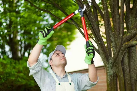 Healthy ornamental trees and shrubs